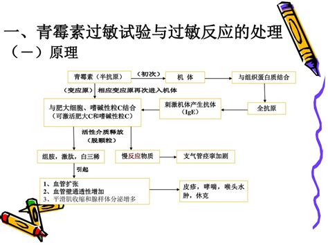 第十三章 药物过敏试验与过敏反应的处理 Ppt Download