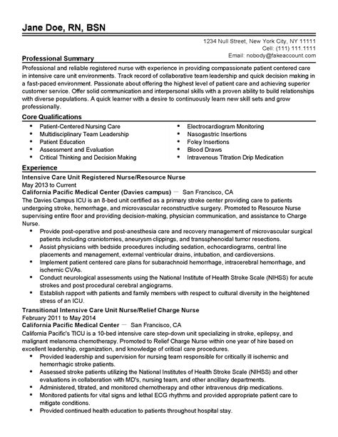 Sample Resume Professional Summary Nude Nails With Red Outline