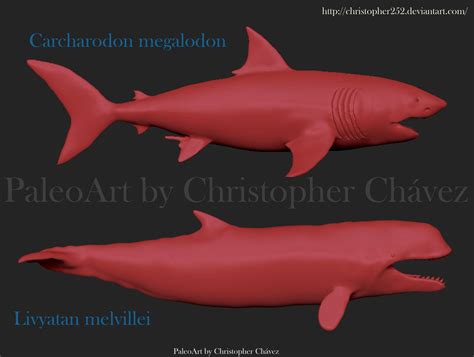 Leviathan Vs Megalodon