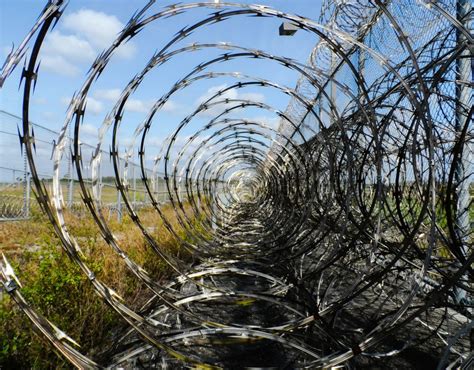 Tout savoir sur notre barbelé anti intrusion - Conseils - Milironce 