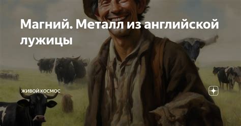 Магний. Металл из английской лужицы | Живой Космос | Дзен