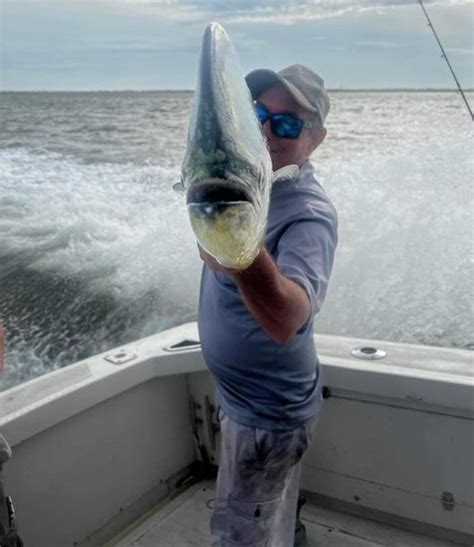 Mahi Mahi Dorado Fishing Charters Guides Trips In North Carolina