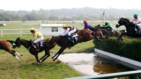 What is steeplechase horse racing?