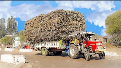 Swaraj 855 With Full Load Sugarcane Trolley Pulling Youtube