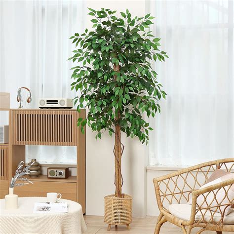 Soguyi Rboles Artificiales Ficus De Pies Con Hojas Y Tronco