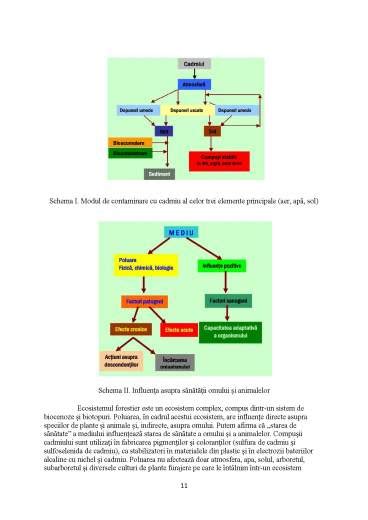 Contaminarea Mediului Cu Cadmiu Proiect DOCX