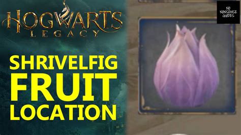 Hogwarts Legacy Shrivelfig Fruit Location Youtube