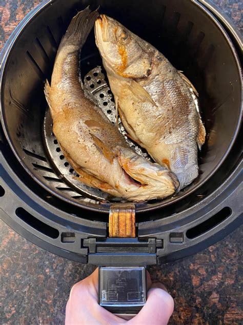 Airfryer Grilled Fish Recipe Home Alqu