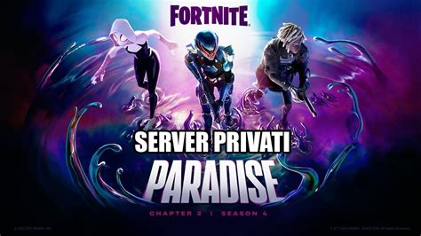 Fortnite Server Privati Gioco Con Gli Iscritti Obbiettivo