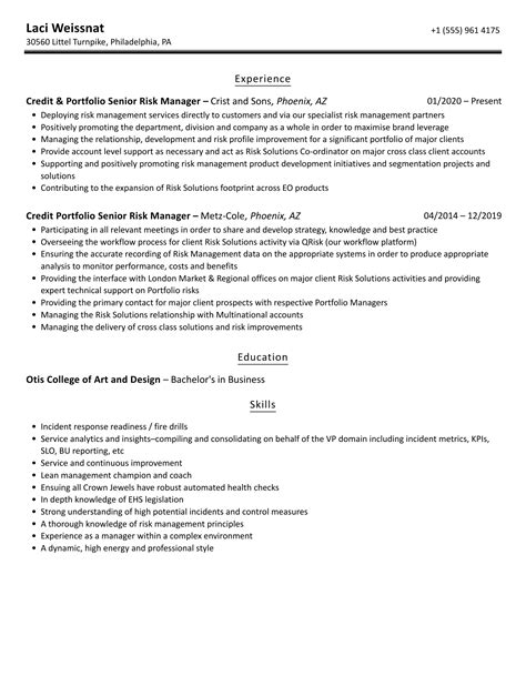 Senior Risk Manager Resume Samples Velvet Jobs