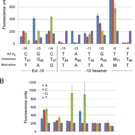 Mutational Analysis Of The P R Promoter A The Fluorescence Of P R