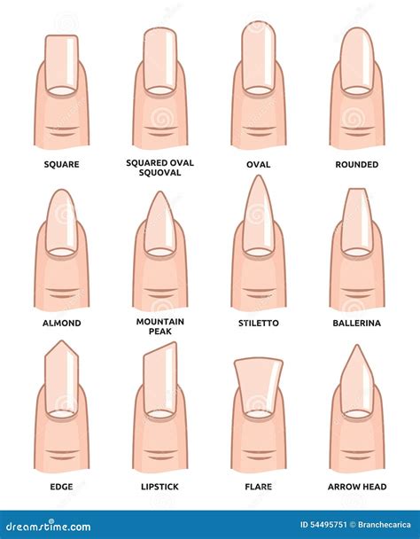 Nail Shapes Stock Illustrations – 521 Nail Shapes Stock Illustrations ...