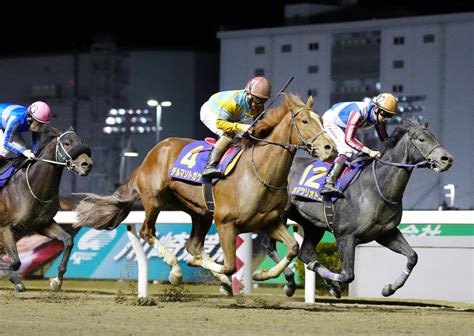 デルマソトガケ、サウジダービーもデビュー以来の松若騎手とコンビ継続 競馬写真ニュース 日刊スポーツ