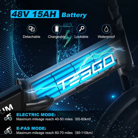 Tesgo Hum Pro W Motor And Samsung V Ah Battery Ebike With Fat