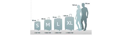 Rimowa Vs Samsonite Luggage Which Suitecase Is Best For You