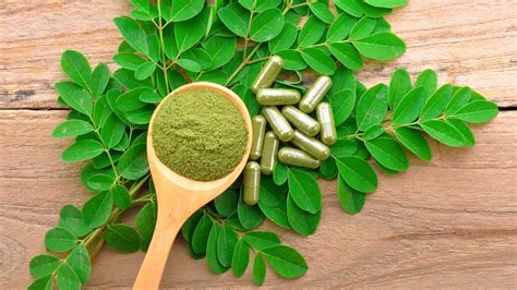 Beneficios De La Moringa La Planta Milagro Que Ayuda A Regular La