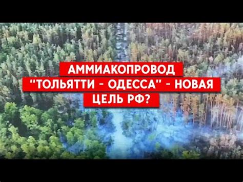 «ДНР»: У Маріуполі виготовлятимуть неон | Наш Донбас