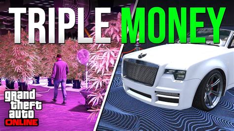 Gta Triple Money This Week Gta Online Weekly Update Mc Weed