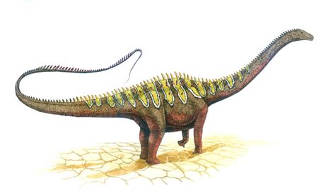 Diplodocus Carnegii By T Pekc On Deviantart