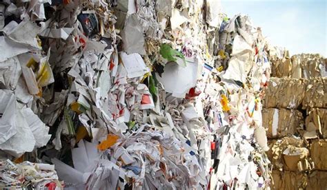 La Industria Del Papel Y Su Negativo Impacto En El Medio Ambiente