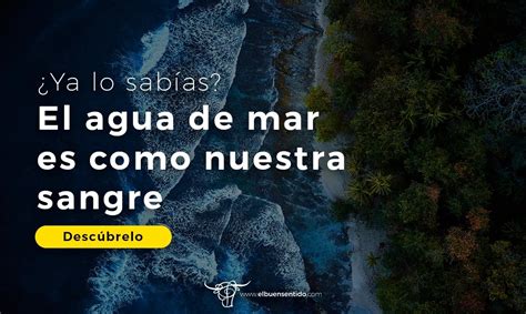 Ricardo De Spirito Balbuena On Twitter La Similitud Entre El Agua De