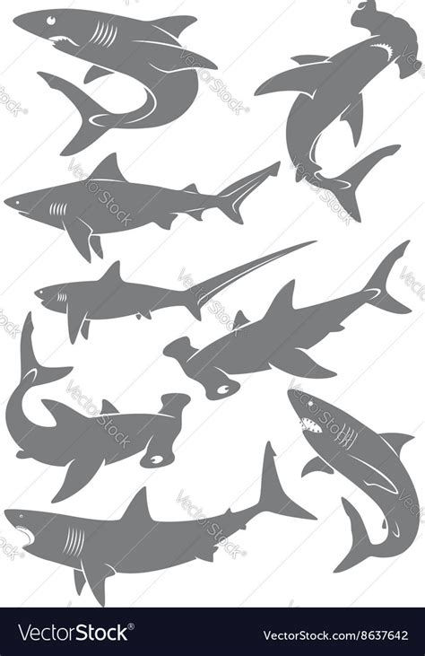 Set Of Sharks Royalty Free Vector Image Vectorstock