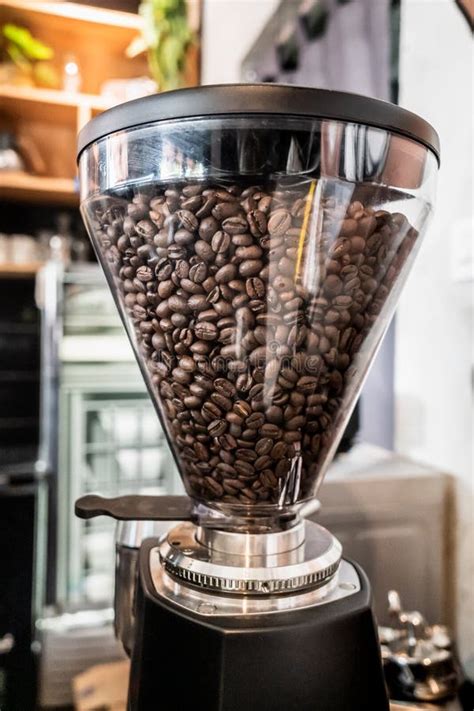 Fresh Dark Brown Coffee Beans In A Coffee Grinder Stock Image Image