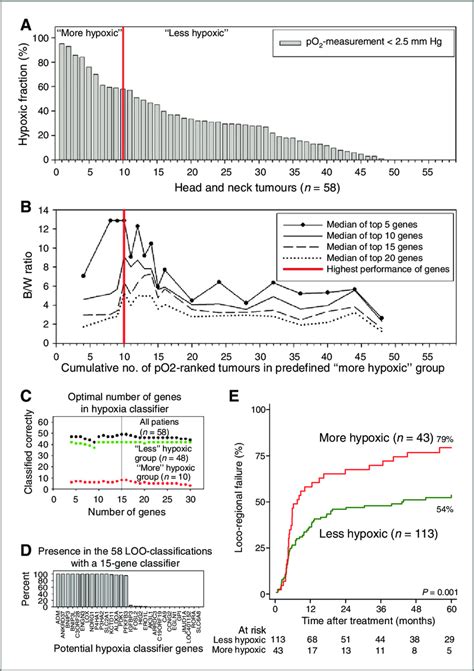 Development And Evaluation Of The 15 Gene Hypoxia Gene Expression