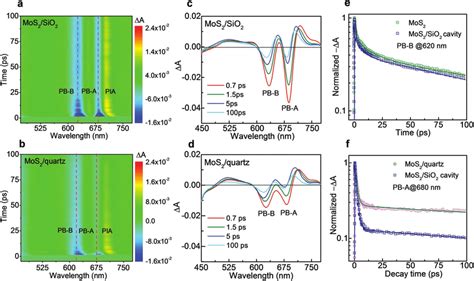 Transient Absorption Spectra Characterization Of MoS 2 SiO 2