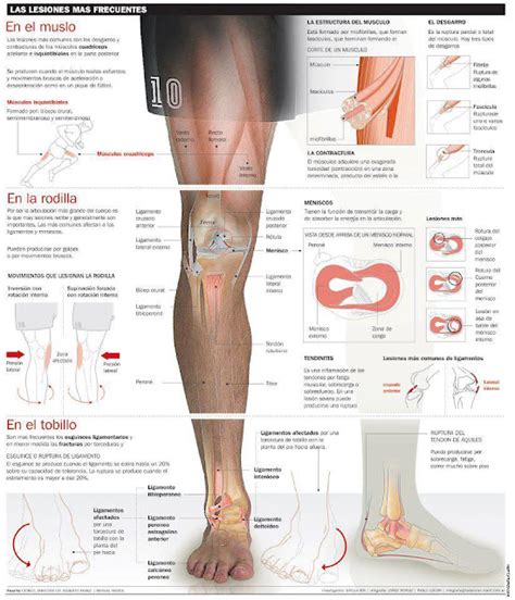 Lesiones M S Frecuentes En La Pierna Manuel Entrenador Personal