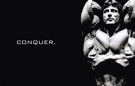 Wallpaper Bodybuilding Mr Olympia Frank Zane For Mobile And Desktop