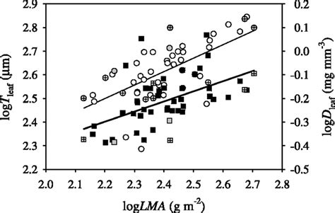 Relationship Between Log10 Transformed Leaf Lamina Thickness Tleaf