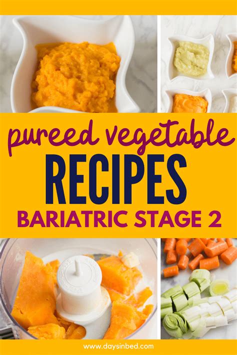 Bariatric Stage 2 Pureed Food Recipes 4 Veg Pureed Food Recipes Bariatric Recipes Sleeve