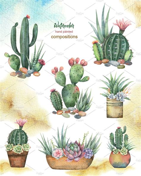 Watercolor Cacti And Succulents Watercolor Succulents Succulent Painting Cactus