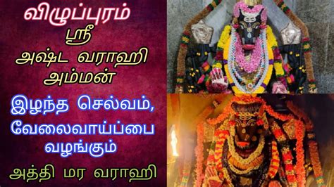 Villupuram Sri Ashta Varahi Amman Temple விழுப்புரம் அஷ்ட வராஹி அம்மன்