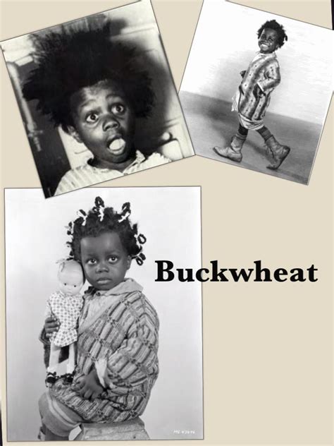 Buckwheat Little Rascal Little Hollywood Legends By Jan Shackelford