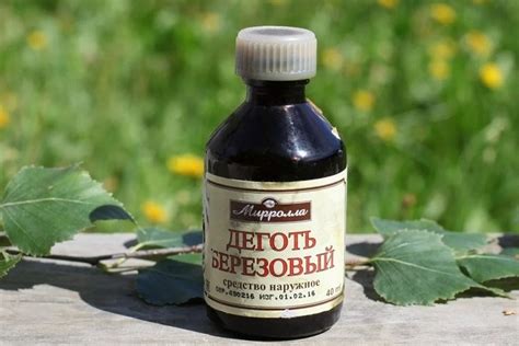 7 проверенных средств для уничтожения тли на плодовых деревьях