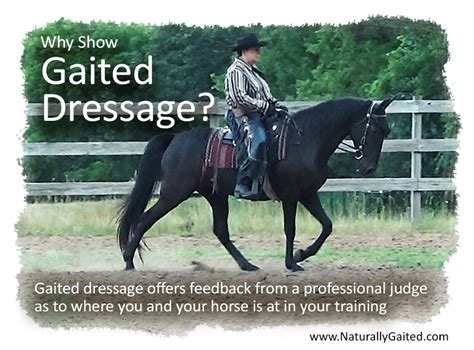 Dressage For The Gaited Horse Naturally Gaited Horse