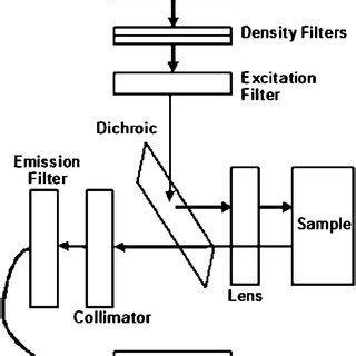 Diagram of the modified inverted microscope optics. | Download ...