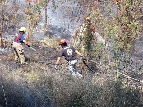 Combaten incendio en lecho del río Santa Catarina en Monterrey POSTA