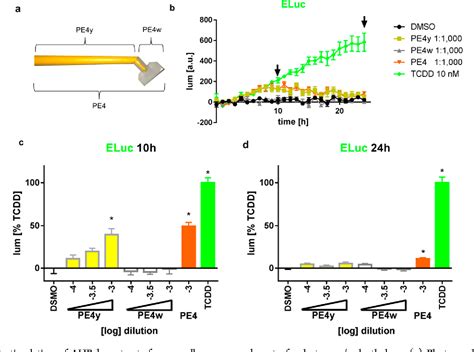 Figure From A Novel Dual Color Luciferase Reporter Assay For