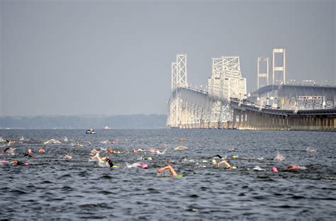 The 2017 Great Chesapeake Bay 4 4 Mile Swim I’m In Kathleen Bober