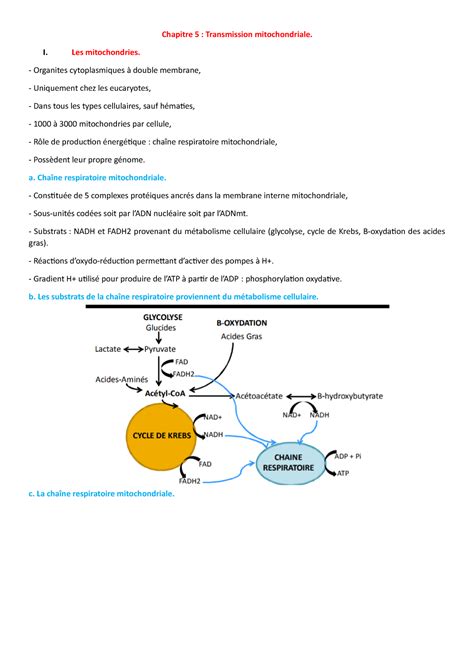 Chapitre Cours De Master Recherche Biologie Sant Chapitre