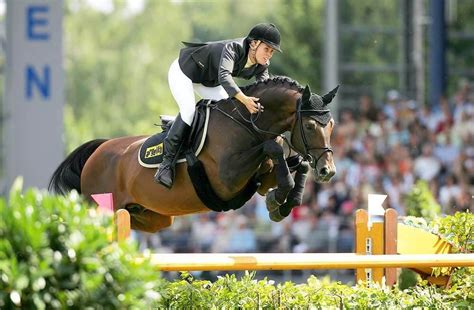 The 11 Best Jumping Horse Breeds — The Sporting Blog