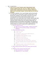 Neurology KIN 706 Exam 3 Study Guide Lecture 10 Docx LOMoARcPSD