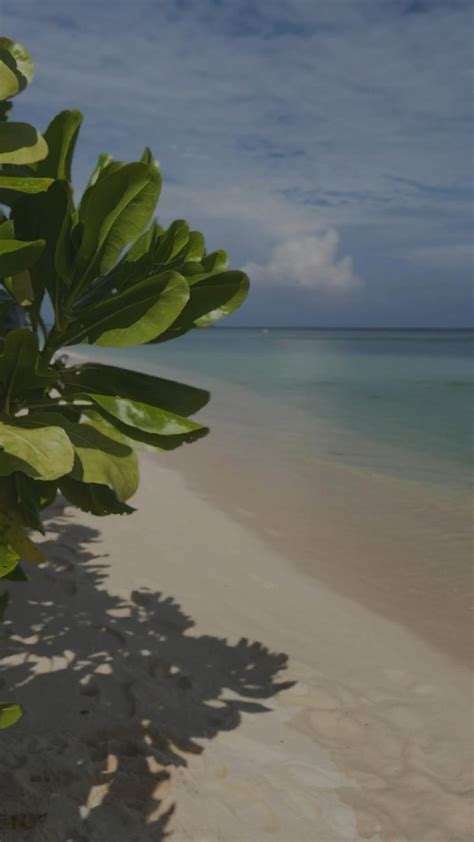 Необитаемый остров 🏝