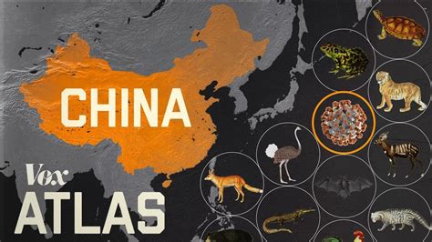 Why new diseases keep appearing in China - Closed Captions by CCTubes