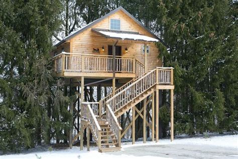 Lofty Willow Tree House in Berlin Ohio - Flavorverse