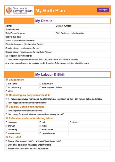 47 Printable Birth Plan Templates [birth Plan Checklist] ᐅ Templatelab