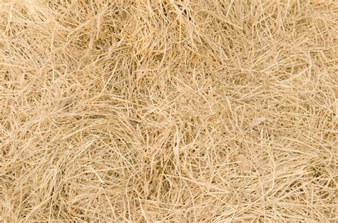 Premium Photo | Straw texture background